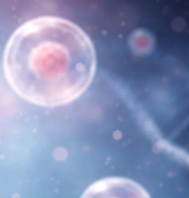 Генетичне дослідження 1 ембріона за 1 гривню